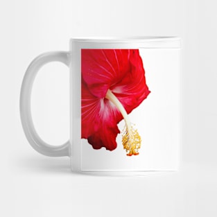 Red hibiscus flower on white. Mug